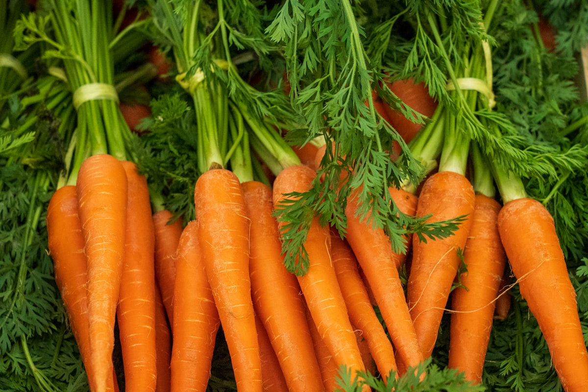 Szem egészség és vitamin támogatás